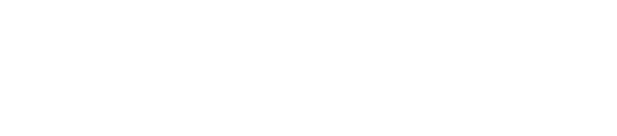 Connect Result